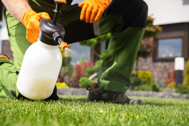 Best Pest Removal Services  in Ocean Gate, NJ