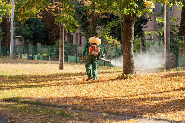 Best Residential Pest Control  in Ocean Gate, NJ
