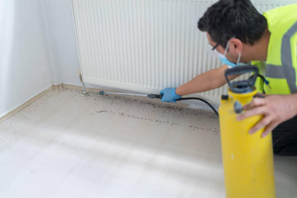 Best Best Pest Control Companies  in Ocean Gate, NJ