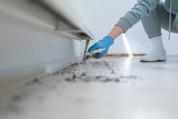 Best Mosquito Control Services  in Ocean Gate, NJ